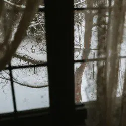 Winter scene of snowy trees viewed through a lodge window with sheer curtains in Fairbanks Alaska