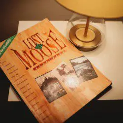 Last Frontier Moose" magazine on side table next to lamp in a Fairbanks Alaska treehouse rental