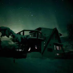 Nighttime view of a cozy treehouse structure under glowing green northern lights in Fairbanks, Alaska