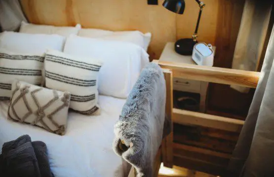 Made bed with soft pillows, gray towels, and sunlight streaming through windows in Fairbanks treehouse