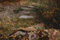 Leafy stone path surrounded by autumn foliage leading through a quiet wooded area in Fairbanks, Alaska