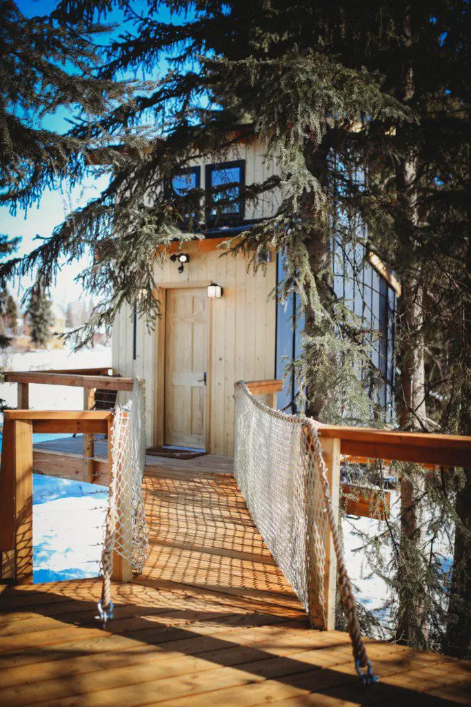 Wooden rope bridge leading to a cozy treehouse cabin among pine trees in Fairbanks Alaska