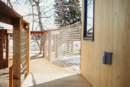 Wooden treehouse cabin with rope bridge entrance nestled in pine forest near Fairbanks, Alaska