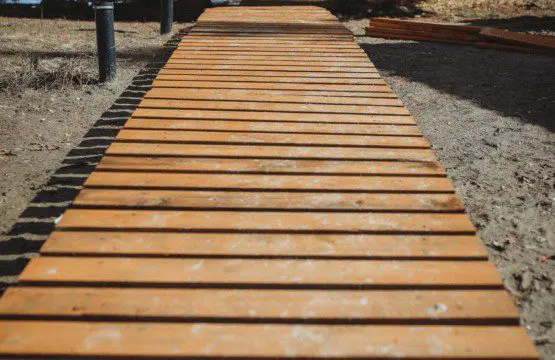 Wooden boardwalk path through trees at Fairbanks Alaska adventure lodge