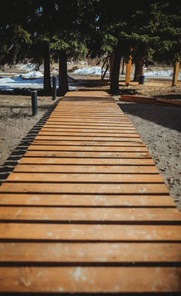Wooden boardwalk path through trees at Fairbanks Alaska adventure lodge