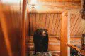 Mounted bear display inside a log cabin-style treehouse in Fairbanks Alaska with wood-paneled ceiling