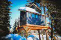 Wooden treehouse cabin with rope bridge entrance nestled in pine forest near Fairbanks, Alaska