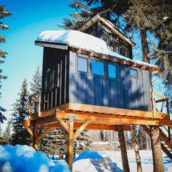 Wooden treehouse cabin with rope bridge entrance nestled in pine forest near Fairbanks, Alaska