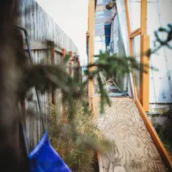 Narrow wooden path with railing leading to a white treehouse structure, partially framed by pine branches in Fairbanks, Alaska