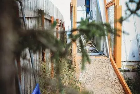 Narrow wooden path with railing leading to a white treehouse structure, partially framed by pine branches in Fairbanks, Alaska