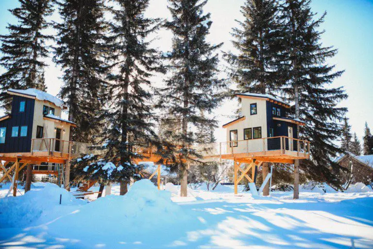Two modern treehouse cabins elevated among snowy pine trees in Fairbanks Alaska