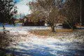 Snow-dusted landscape with trees and rustic lodge cabin in Fairbanks Alaska