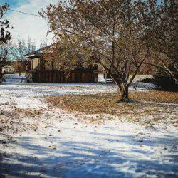 Snow-dusted landscape with trees and rustic lodge cabin in Fairbanks Alaska