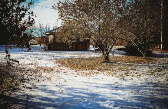 Snow-dusted landscape with trees and rustic lodge cabin in Fairbanks Alaska