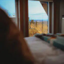 View of autumn forest through large windows from a bed inside a Fairbanks Alaska treehouse