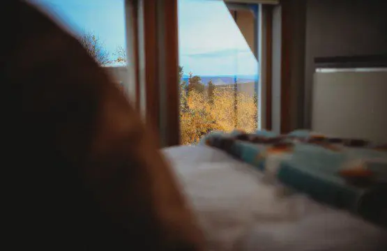 View of autumn forest through large windows from a bed inside a Fairbanks Alaska treehouse