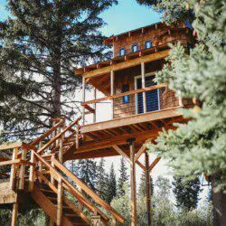 Elevated wooden treehouse with staircase surrounded by trees in Fairbanks, Alaska