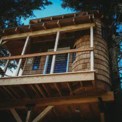 Elevated wooden treehouse cabin surrounded by pine trees in Fairbanks, Alaska.