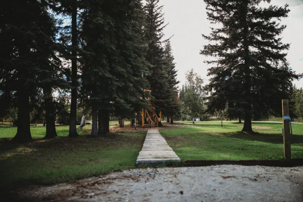 Wooded path leading through pine trees in Fairbanks, ideal for weddings and scenic Alaska adventure lodge settings