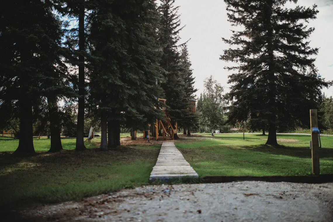 Wooded path leading through pine trees in Fairbanks, ideal for weddings and scenic Alaska adventure lodge settings