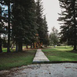 Wooded path leading through pine trees in Fairbanks, ideal for weddings and scenic Alaska adventure lodge settings