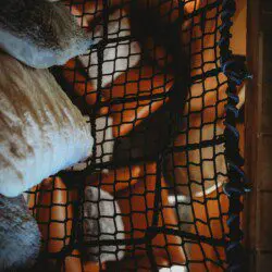 Creative sleeping nook with pillows and netting in a rustic Fairbanks Alaska treehouse rental or adventure lodge