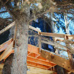 Modern black and wood-paneled treehouse rental elevated on stilts in a snowy forest in Fairbanks, Alaska.