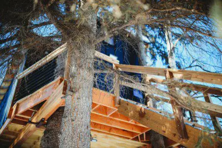 Modern black and wood-paneled treehouse rental elevated on stilts in a snowy forest in Fairbanks, Alaska.