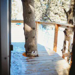 Wooden staircase built among snow-covered trees leading up to a treehouse in Fairbanks, Alaska.