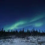 Green Northern Lights stretching across a starry sky above snowy trees in Fairbanks, Alaska