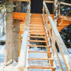 Wooden staircase built among snow-covered trees leading up to a treehouse in Fairbanks, Alaska.