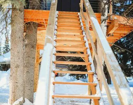Wooden staircase built among snow-covered trees leading up to a treehouse in Fairbanks, Alaska.