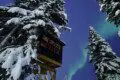 Snow-covered treehouse rental in Fairbanks Alaska with northern lights glowing in the night sky above.