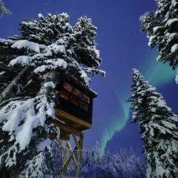 Snow-covered treehouse rental in Fairbanks Alaska with northern lights glowing in the night sky above.