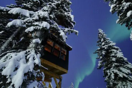 Snow-covered treehouse rental in Fairbanks Alaska with northern lights glowing in the night sky above.