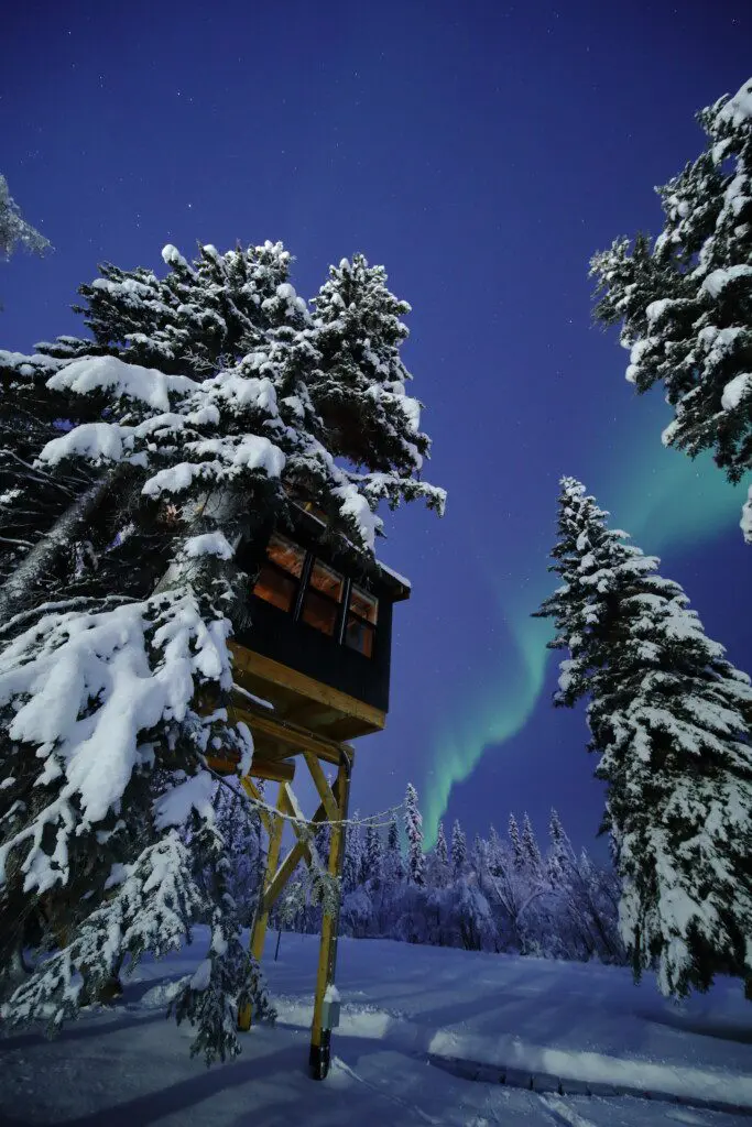 Snow-covered treehouse rental in Fairbanks Alaska with northern lights glowing in the night sky above.