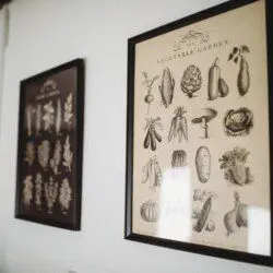 Framed vintage vegetable and herb illustrations hanging on the wall of a Fairbanks Alaska lodge
