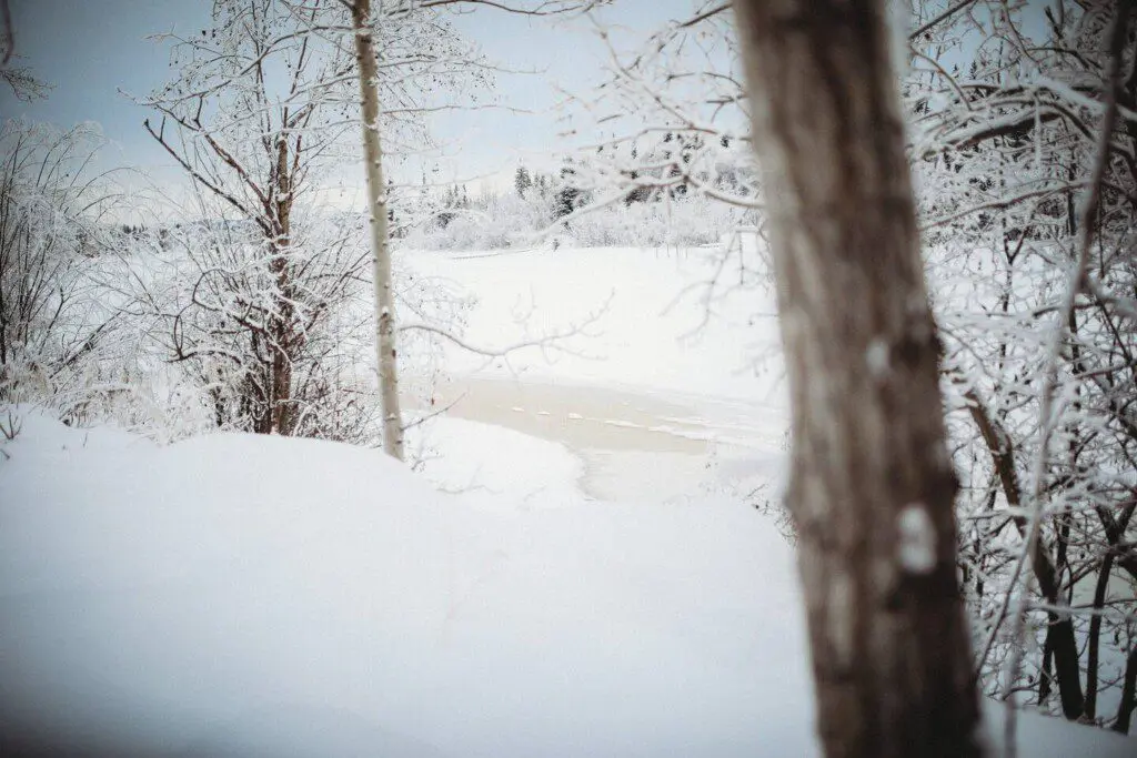 Historic railcar lodging with snowy deck and winter trees in Fairbanks Alaska