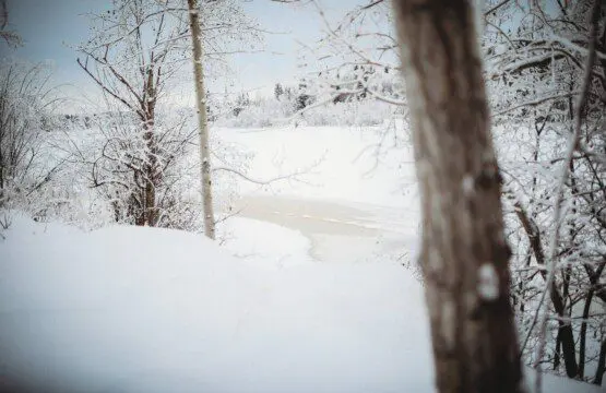 Historic railcar lodging with snowy deck and winter trees in Fairbanks Alaska