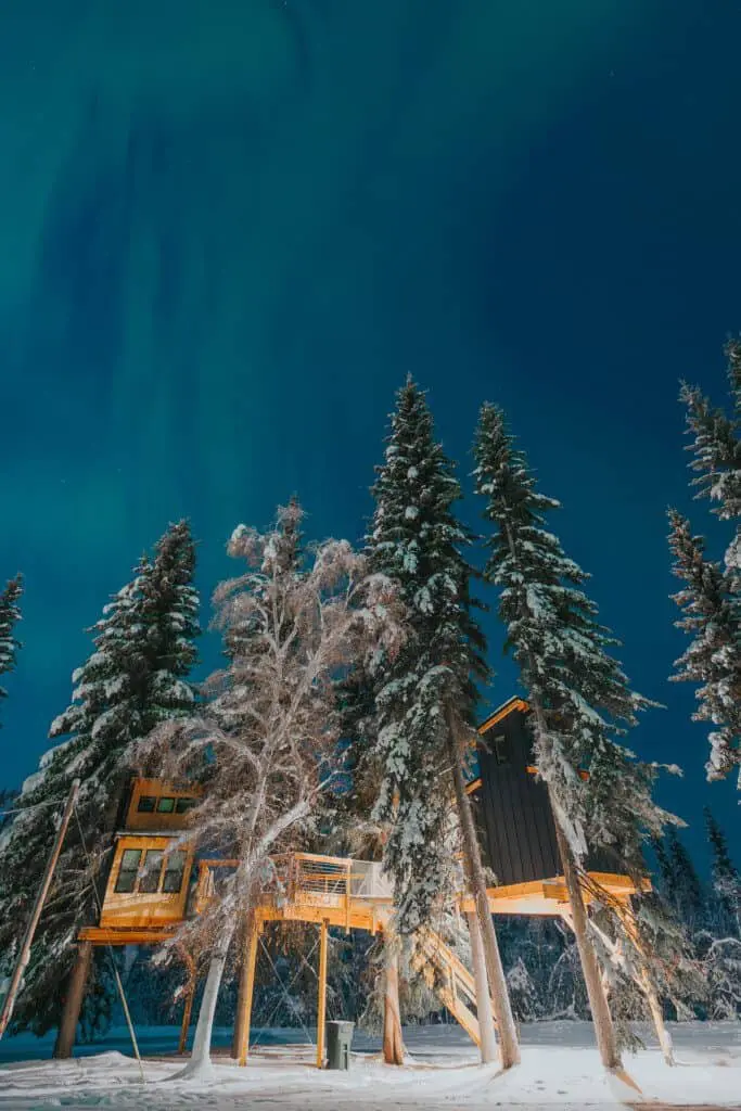 Elevated treehouse cabins in snowy forest at Alaska adventure lodge in Fairbanks.
