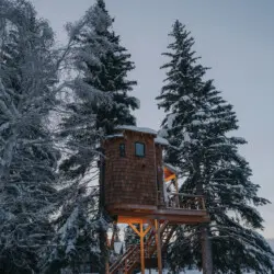 Wooden treehouse cabin on stilts surrounded by snowy pine trees in Fairbanks Alaska