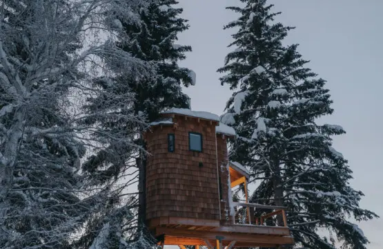 Wooden treehouse cabin on stilts surrounded by snowy pine trees in Fairbanks Alaska