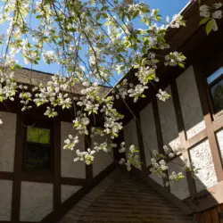 Exterior of Tudor-style lodge surrounded by trees in Fairbanks, ideal for weddings and adventure stays