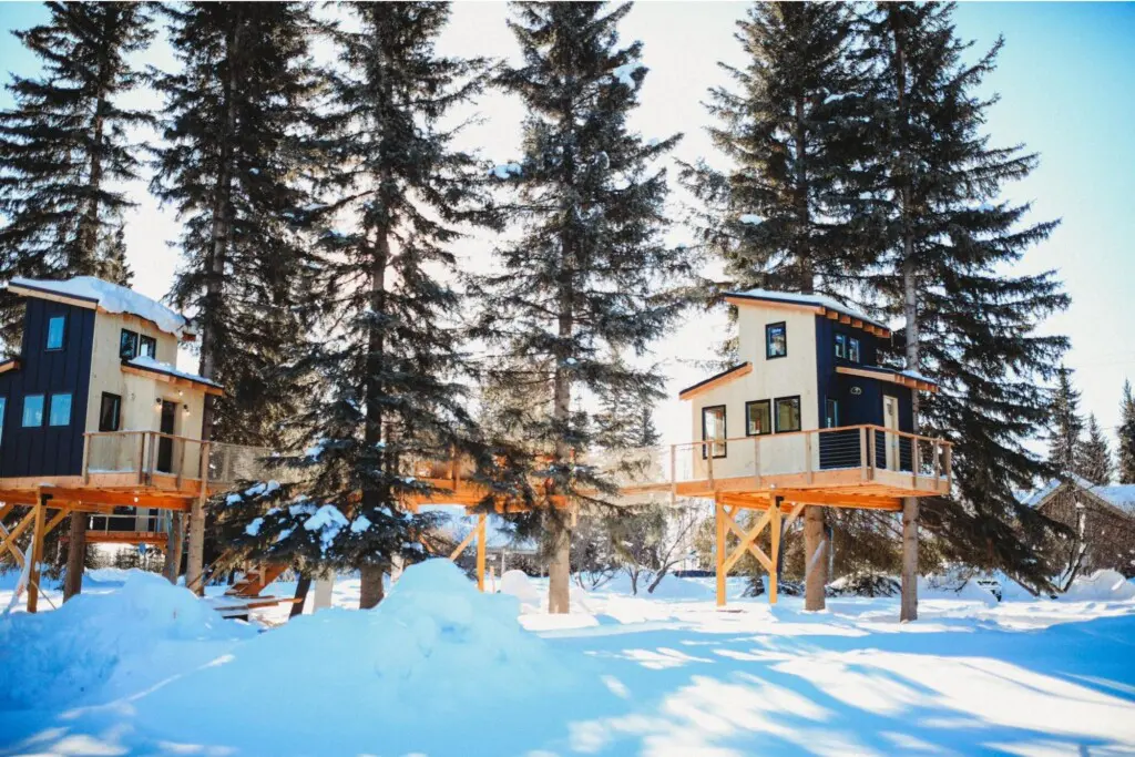 Modern treehouse cabins in snowy Fairbanks at a unique Alaska adventure lodge.