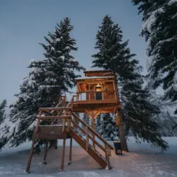 Wooden treehouse cabin on stilts surrounded by snowy pine trees in Fairbanks Alaska