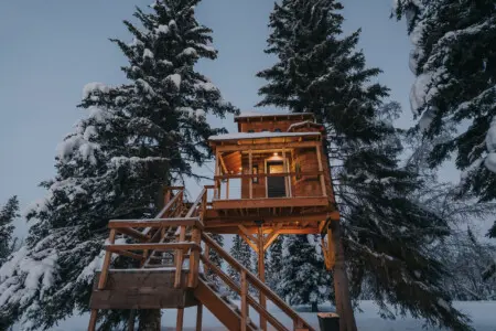 Wooden treehouse cabin on stilts surrounded by snowy pine trees in Fairbanks Alaska