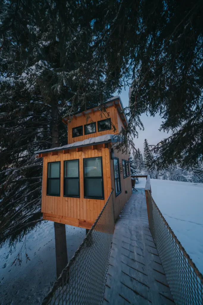 Couple standing on a snowy wooden treehouse deck surrounded by pine trees in Fairbanks Alaska