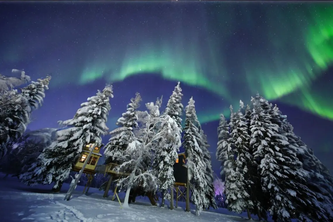 Glowing aurora borealis over snowy pine trees and wooden treehouses in Fairbanks Alaska
