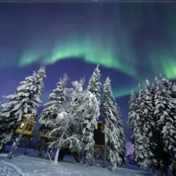 Glowing aurora borealis over snowy pine trees and wooden treehouses in Fairbanks Alaska