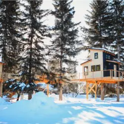 Modern treehouse cabins in snowy Fairbanks at a unique Alaska adventure lodge.